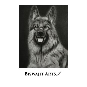 Realistic pencil drawing of a German Shepherd dog