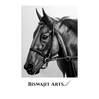 Hand-drawn pencil portrait of a horse