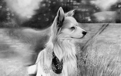 Detailed charcoal portrait of a Golden Retriever dog